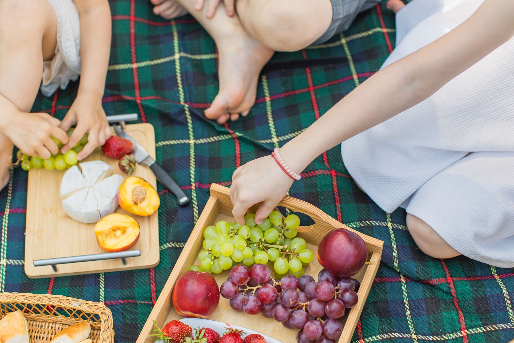Summer Camp: Summer Picnic Party